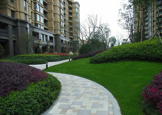 小區綠化園林植物的配置(圖文并茂) - 景觀設計方案