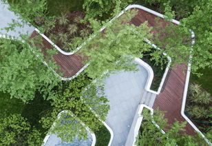 重慶公司精品大區(qū)處女作曝光丨金科九曲河